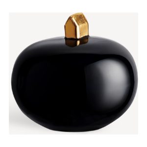 BV Earth On Top Midnight AC-23