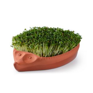 Römertopf Odlingskotte Krasse