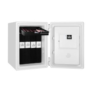 Dokumentskåp SS500/60P